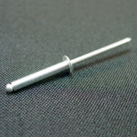 rivet 2000